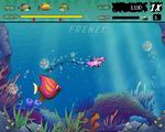 Free download Feeding Frenzy game